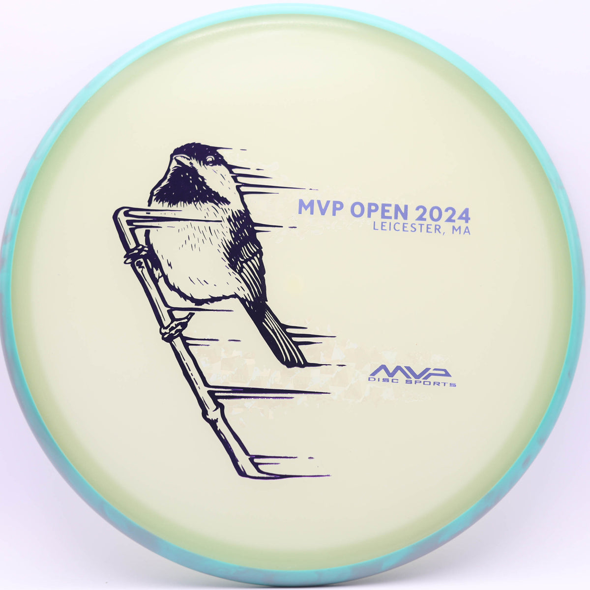 Axiom Discs Tempo 2024 MVP Open New 173g